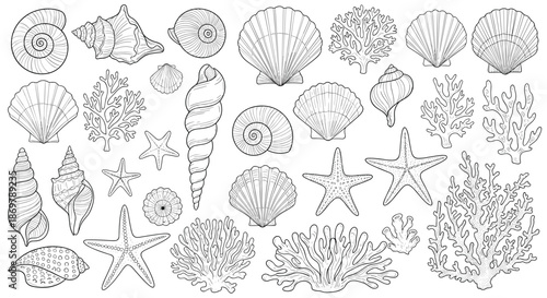 Assorted sea shells and coral branches are arranged in a horizontal layout for this detailed monochrome line art collection set.