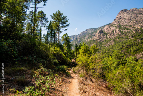 2024 08 30 corsica landscape 20.jpg