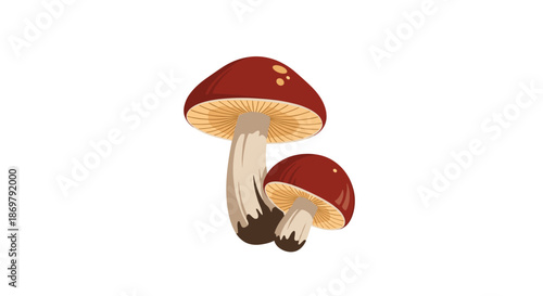 Pair of brown-capped mushrooms of different sizes with cream stems illustrated simply on a clean white background for nature.