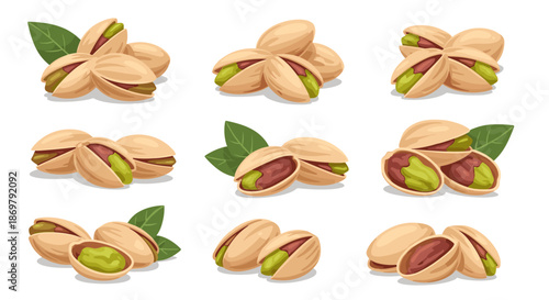 Various arrangements of opened and closed pistachio nuts with green leaves shown in a detailed flat illustration for snacks.