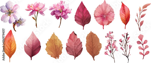 autumn leaves isolated on white