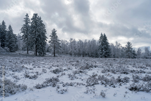 Winterliche Grindeflächen im Nationalpark Schwarzwald