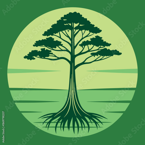 Bald cypress tree in swamp gradient if green. 