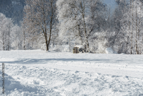 Winterwanderweg mit Brennholzstapel und verschneiten Bäumen im Hintergrund