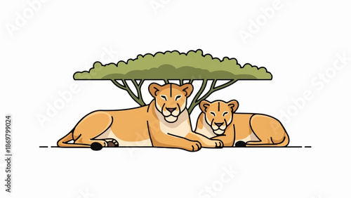 Two lions resting peacefully under an acacia tree in a flat illustration style