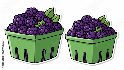 Two green berry baskets filled with ripe, purple blackberries and a few green leaves