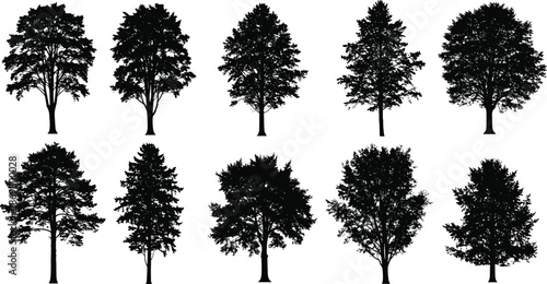 Tree silhouette collection, ten distinct shapes, black outline design, foliage and trunk variation, minimal botanical study, landscape structure comparison