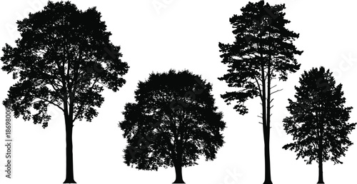 Tree silhouette series, varied canopy and trunk shapes, black outline design, minimal botanical study, foliage density contrast, landscape illustration