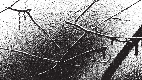 Abstract Black And White Lines And Splatter Texture.