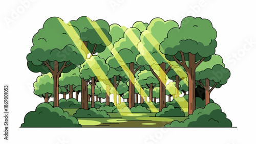 Verdant forest scene with dappled sunlight filtering through canopy