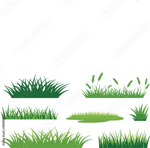 Various illustrations of green grass. There are different types of grass, ranging from tufts to dense patches.