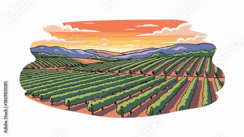 Vast vineyard rows stretch towards rolling purple hills under a colorful sunset sky
