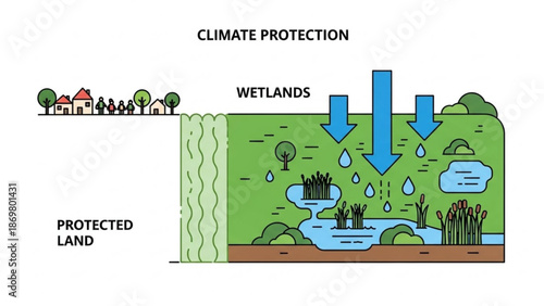 Wetlands climate protection through natural water filtration and conservation