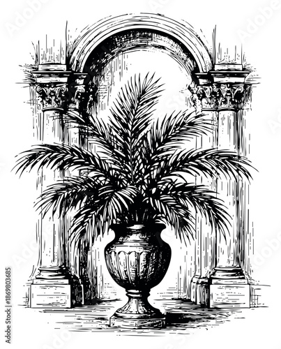 Hand drawn line art illustration of a potted palm tree and classical architecture depicting an elegant garden scene for decoration
