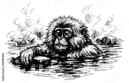 Hand drawn illustration of a snow monkey depicting bathing in a hot spring for nature themes