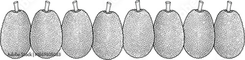 Tropical Jackfruit Vector Illustration Featuring Row of Eight Detailed Outlined Exotic Fruits With Textured Skins for Grocery and Vegan Food Design