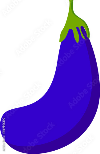 vector illustration of an eggplant