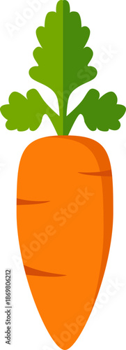 carrot vector illustration