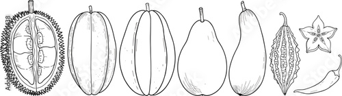 Detailed black and white line art collection of tropical exotic fruits including durian papaya pear bitter melon starfruit and chili, cad drawing flat vector illustration