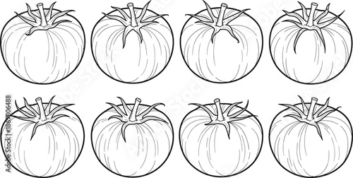 Eight fresh tomato line art collection set for coloring book pages healthy organic vegetable food cad drawing flat vector illustration