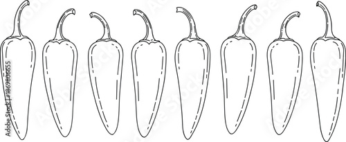 Fresh chili pepper vegetable set with hand drawn sketch style, spicy organic food border, cad drawing flat vector illustration, isolated