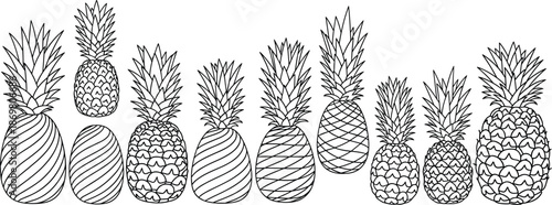 Fresh pineapple fruit set with hand drawn sketch style, tropical organic food pattern, cad drawing flat vector illustration, isolated