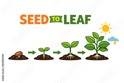 Growth stages from seed to leaf illustrated with sun and soil