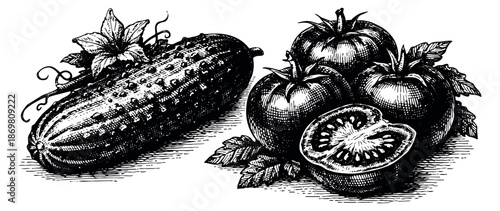 Hand drawn line art vegetables set featuring a cucumber and ripe tomatoes for healthy eating design