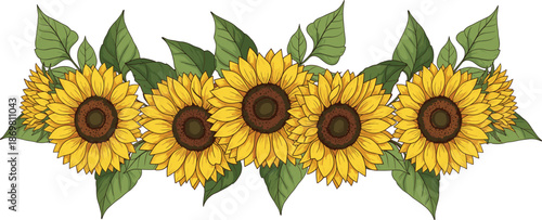 Beautiful horizontal border of yellow sunflowers with green leaves hand drawn floral vector illustration isolated on white background for wedding invitation design.