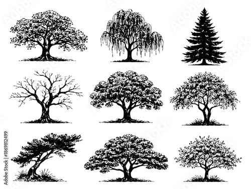 Hand drawn line art tree set featuring various types of deciduous and evergreen trees for nature and environment design