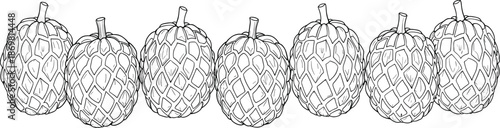 Hand Drawn Custard Apple Fruit Set with Tropical Sugar Apple Cherimoya Exotic Food Sketch in Black and White Line Art