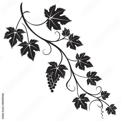 Elegant grape vine illustration