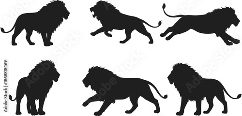 Lion silhouette vector set, black animal shapes, roaring and walking poses, wildlife icons, isolated lion design, white background illustration