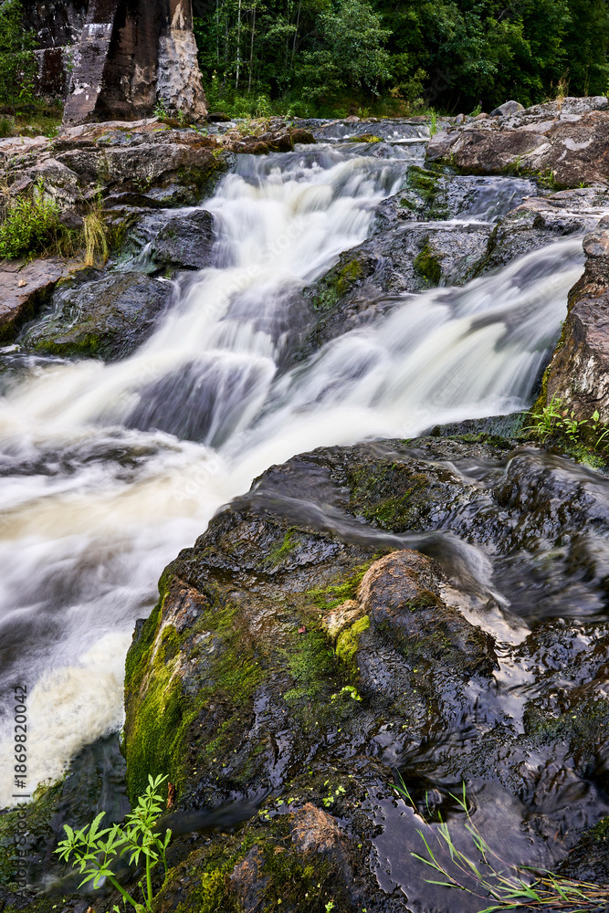 Obraz premium waterfall in the forest