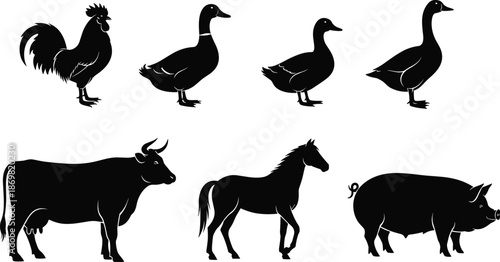 Set of black farm animal silhouettes, rooster duck cow horse and pig, livestock vector illustration isolated on white background.
