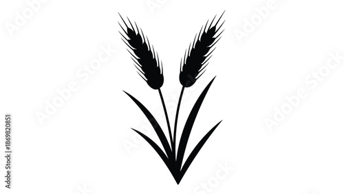 Simple black and white illustration of two wheat stalks with leaves