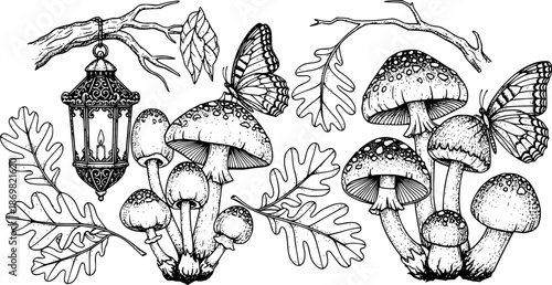 Enchanted forest elements in vintage engraving style: mushrooms, lantern, oak leaves, and butterfly
