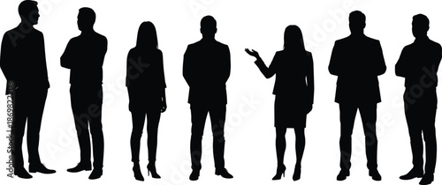 Silhouettes of diverse professionals, men and women in business attire, teamwork, leadership,