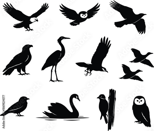 Collection of black and white vector silhouettes featuring various types of wild birds including raptors waterfowl wading birds and nocturnal hunters depicted in diverse poses