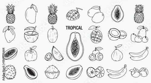 Exotic Tropical Fruit Collection Line Art Illustration Set