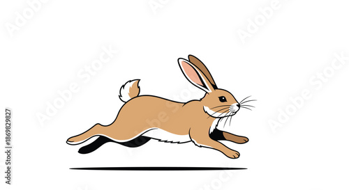 A dynamic illustration of a brown wild hare or rabbit leaping at full speed across a field isolated on a white background.