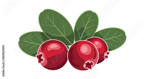Three ripe and juicy red cranberries are shown with a cluster of fresh green leaves in a vibrant and healthy food illustration.
