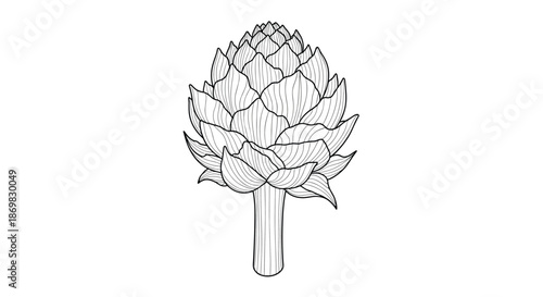 Detailed black and white line art illustration of a fresh artichoke vegetable with intricate leaves and stem on a clean white background.