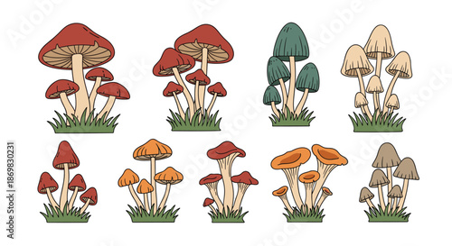 Colorful collection of various wild mushrooms and toadstools growing in grass for a botanical or fairytale themed design.