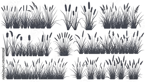 Collection of various aquatic plants and cattails illustrations from different viewpoints