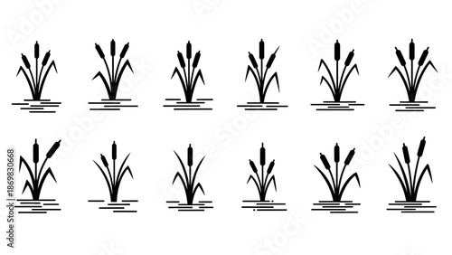 Collection of various cattail illustrations in different growth stages and arrangements