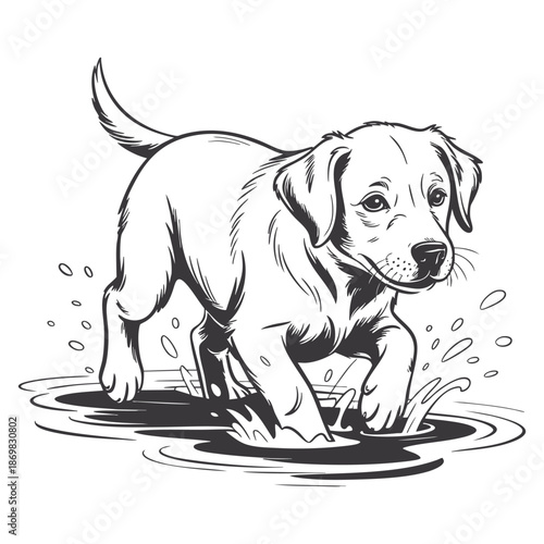 Playful puppy dog splashing in water puddle, line art illustration, happy and energetic mood, outdoor fun.