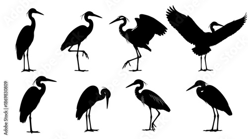 Collection of heron silhouettes in various poses and flying positions against a white background