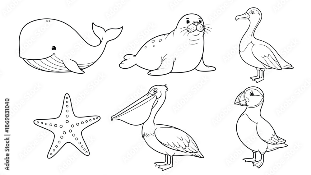 Obraz premium Marine Life Vector Illustrations Collection