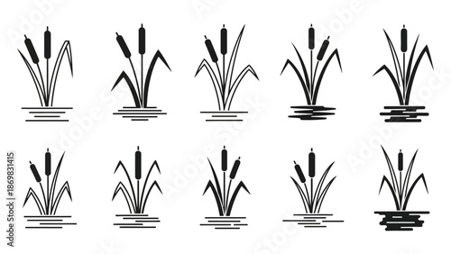 Collection of cattail illustrations in various styles on a plain background
